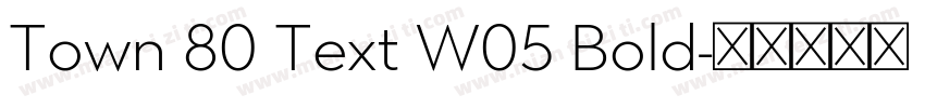 Town 80 Text W05 Bold字体转换